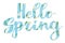 Hello Spring. Stylish Hello Spring  floral text with white spring flowers on blue background, lettering isolated on white. Floral