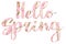 Hello Spring. Stylish Hello Spring  floral text with white spring flowers on pink background, lettering isolated on white. Floral