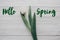 Hello spring text fresh sign. stylish white tulip on rustic wood