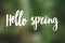 Hello spring text handwritten on green blurred background of flowers in sunny spring woods or forest. Welcome springtime.