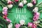 Hello spring text sign on beautiful double peony tulips frame flat lay on green paper. Springtime. Stylish floral greeting card.