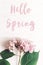 Hello Spring text sign on beautiful pink hydrangea flower on rustic white wood, flat lay. Stylish floral greeting card