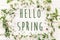 Hello spring text sign on fresh daisy lilac flowers and green he