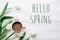 Hello spring text sign on tulips and coffee on white wooden rust