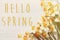 Hello spring text. spring image flat lay with beautiful yellow d