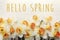 Hello spring text. spring image flat lay with beautiful yellow d