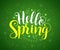 Hello spring text typography vector banner design in green background