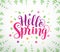 Hello spring text typography vector banner design in white background