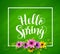 Hello spring vector banner design in green textured background