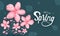 Hello spring vector illustration calligraphy text with spring flower cherry blossom on dark shiny abstract background