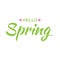 Hello Spring vector illustration of green typographic hand drawn calligraphic lettering text isolated white background