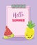 Hello sumer cute fruits concept