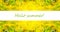 Hello summer banner. Text on photo with dandelions. Yellow dandelions. New season. Summer picture with flowers