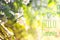 Hello summer banner. Text on the photo. Text hello summer. New month. New season. Summer. Text on a photo of flowers. Summer