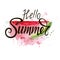 Hello summer bright illustration