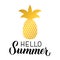 Hello summer calligraphy hand lettering with gold pineapple isolated on white. Inspirational seasonal quote typography poster.