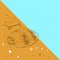 Hello summer card banner. sea shells Volutidae, common name volutes, are a taxonomic family of predatory sea snails shell. Sketch