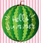 Hello summer greeting card, poster, print. Vector typographical background with watermelon slice abstract paint texture
