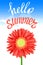 Hello Summer Lettering and Realistic Gerbera Flower. Summer background design for your holiday poster, banner, headline text.