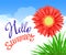 Hello Summer Lettering and Realistic Gerbera Flower. Summer background design for your holiday poster, banner, headline text.