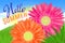 Hello Summer Lettering and Realistic Gerbera Flowers. Summer background design for your holiday poster, banner, headline text.