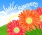 Hello Summer Lettering and Realistic Gerbera Flowers. Summer background design for your holiday poster, banner, headline text.