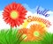 Hello Summer Lettering and Realistic Gerbera Flowers. Summer background design for your holiday poster, banner, headline text.