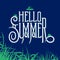 Hello Summer lettering sign
