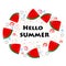 Hello Summer letters with abstract slice of watermelon vector illustration