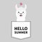 Hello summer. Llama alpaca face head in the pocket. Butterfly. Cute cartoon animals. Kawaii character. Dash line. White and black