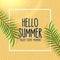 Hello summer lovely beach background with leaves shade