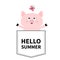 Hello summer. Pig face head in the pocket. Butterfly. Cute cartoon animals. Piggy piglet character. Dash line. White and black