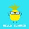 Hello summer. Pineapple fruit icon leaf wearing glasses. Hands up, legs. Cute cartoon kawaii smiling funny baby character.