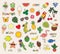 Hello summer. Set of cute stickers palms, fruits, parrot, ice cream, sun, cactus and others.