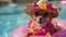 Hello Summer. Super cute chihuahua dog wearing straw hat and swimming in the pool. Ai generated image