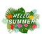 Hello Summer text. Beautiful summer time exotic circle frame