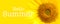 Hello Summer text and sunflower close-up details in yellow banner background