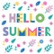 Hello Summer. Trendy geometric font. Text, foliage and flowers isolated on a white background.