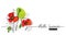 Hello summer vector web banner with poppies flowers. Summer floral simple, minimalist sketch illustration with editable