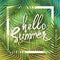 Hello Summer wallpaper typographical background with tropical pl