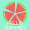 Hello Summer Watermelon slice with seeds in circle