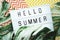 Hello Summer word in lightbox with Monstera Leaves decoration