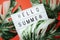 Hello Summer word in lightbox with Monstera Leaves on red background