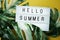 Hello Summer word in lightbox with Monstera Leaves on yellow background