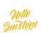 Hello sunshine. Best being unique spring quote. Modern calligraphy and hand lettering