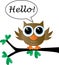 Hello a sweet little brown owl