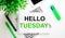 HELLO TUESDAY written in black and green type on white paper near green markers, a smartphone and a green plant on a white