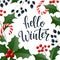 Hello winter lettering banner for web or social media.
