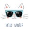 Hello Winter lettering with cat in glasses