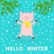 Hello winter. Pig laying on back. Making snow angel. Top air view. Moving paws. Fir tree. Branch spruce Cute cartoon funny charact